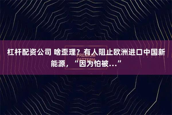 杠杆配资公司 啥歪理？有人阻止欧洲进口中国新能源，“因为怕被…”