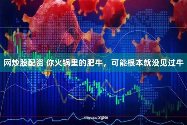 网炒股配资 你火锅里的肥牛，可能根本就没见过牛