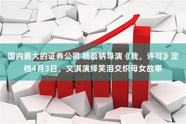 国内最大的证券公司 杨荔钠导演《我，许可》定档4月3日，文淇演绎笑泪交织母女故事