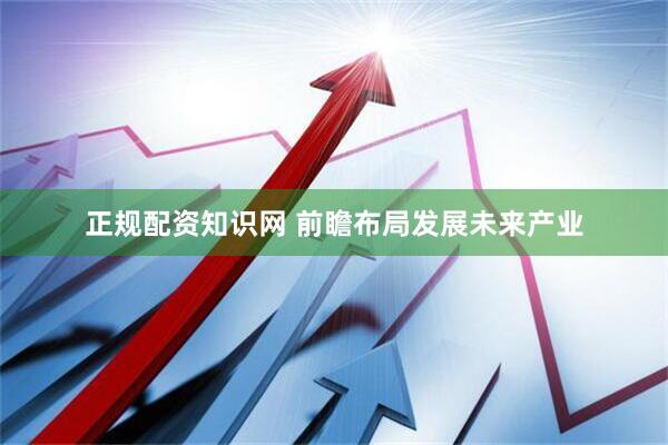 正规配资知识网 前瞻布局发展未来产业