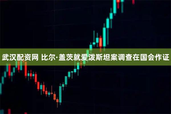 武汉配资网 比尔·盖茨就爱泼斯坦案调查在国会作证